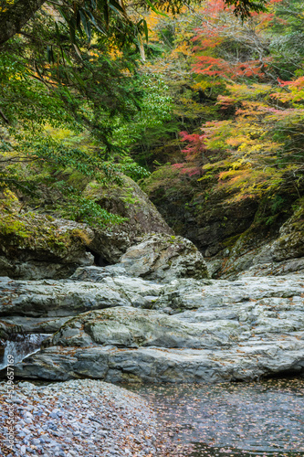 Obraz na płótnie 奈良県天川村の秋風景 w salonie