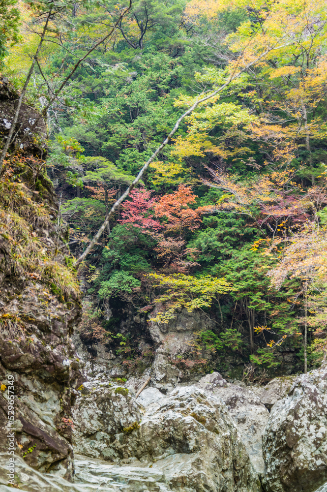 奈良県天川村の秋風景