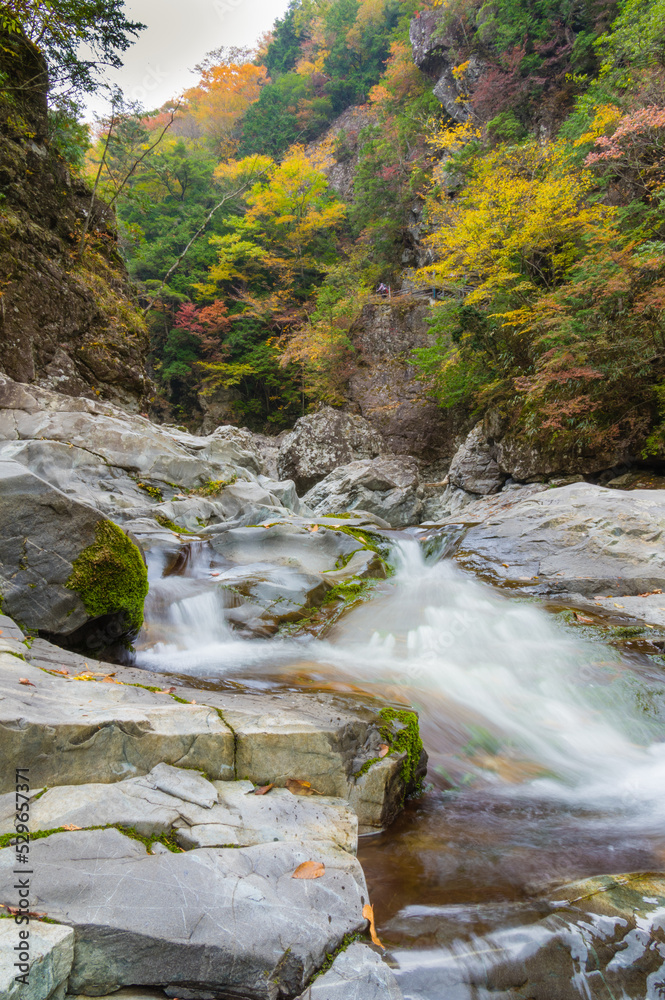 奈良県天川村の秋風景