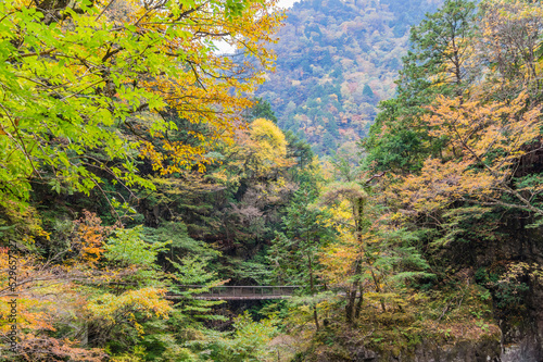 Obraz na płótnie 奈良県天川村の秋風景 w salonie