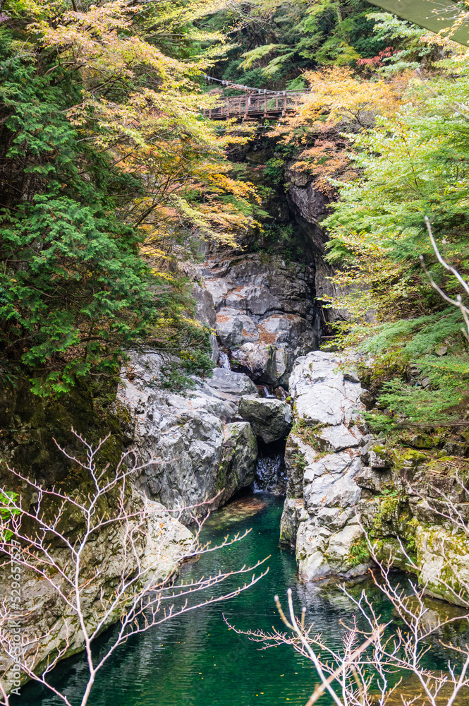 奈良県天川村の秋風景