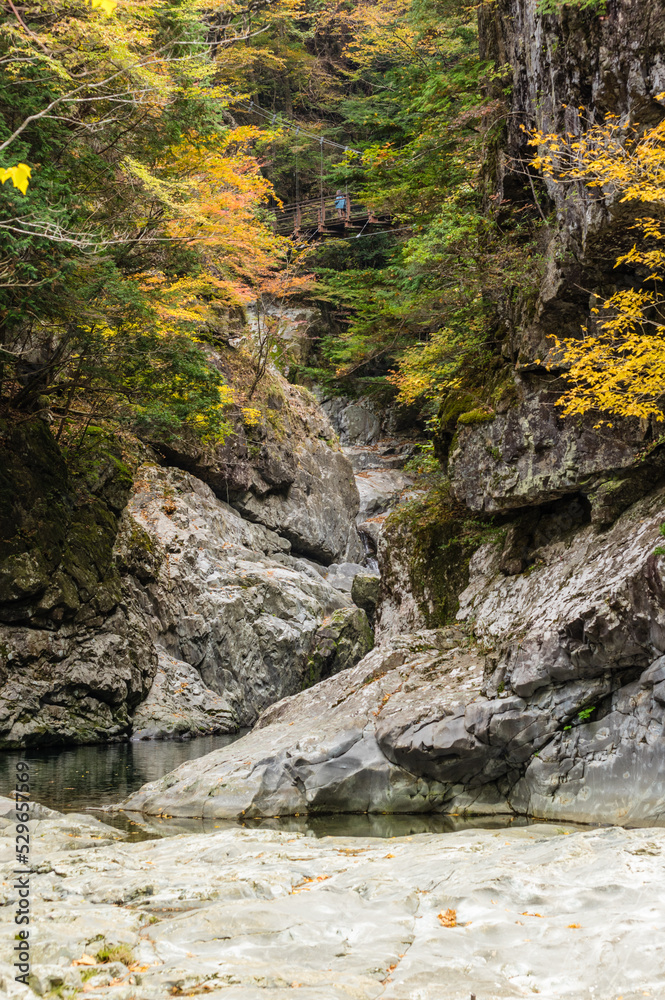 奈良県天川村の秋風景