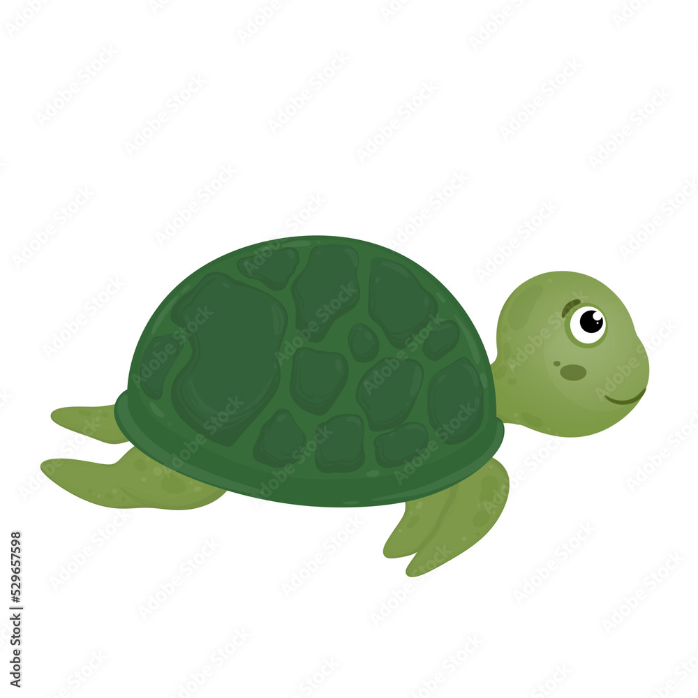 Obraz premium Turtle