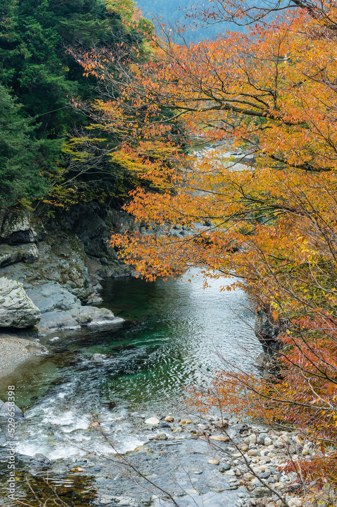 奈良県天川村の秋風景