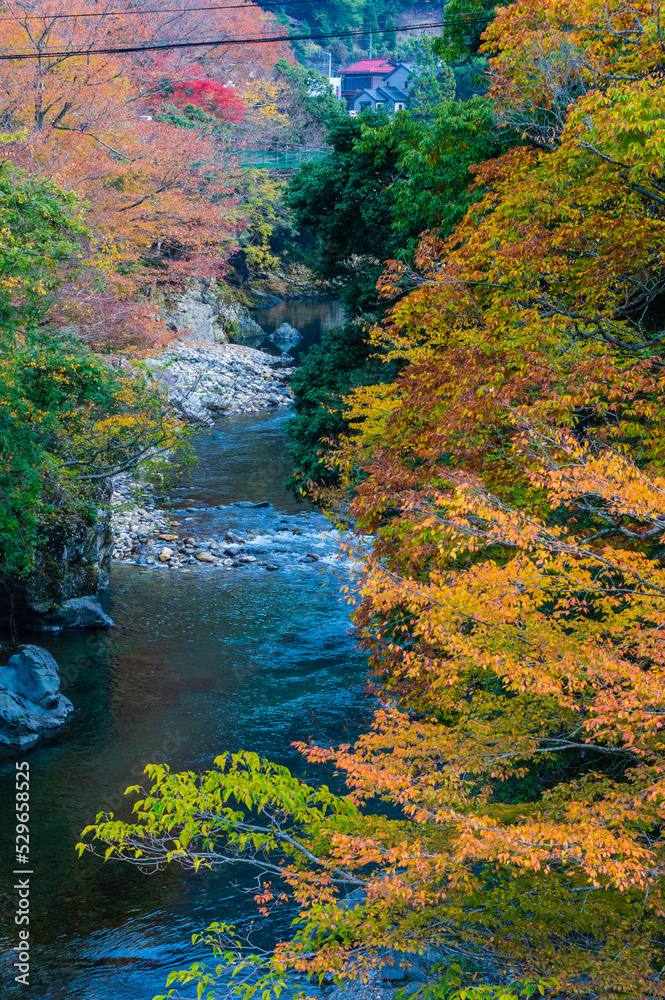 奈良県天川村の秋風景