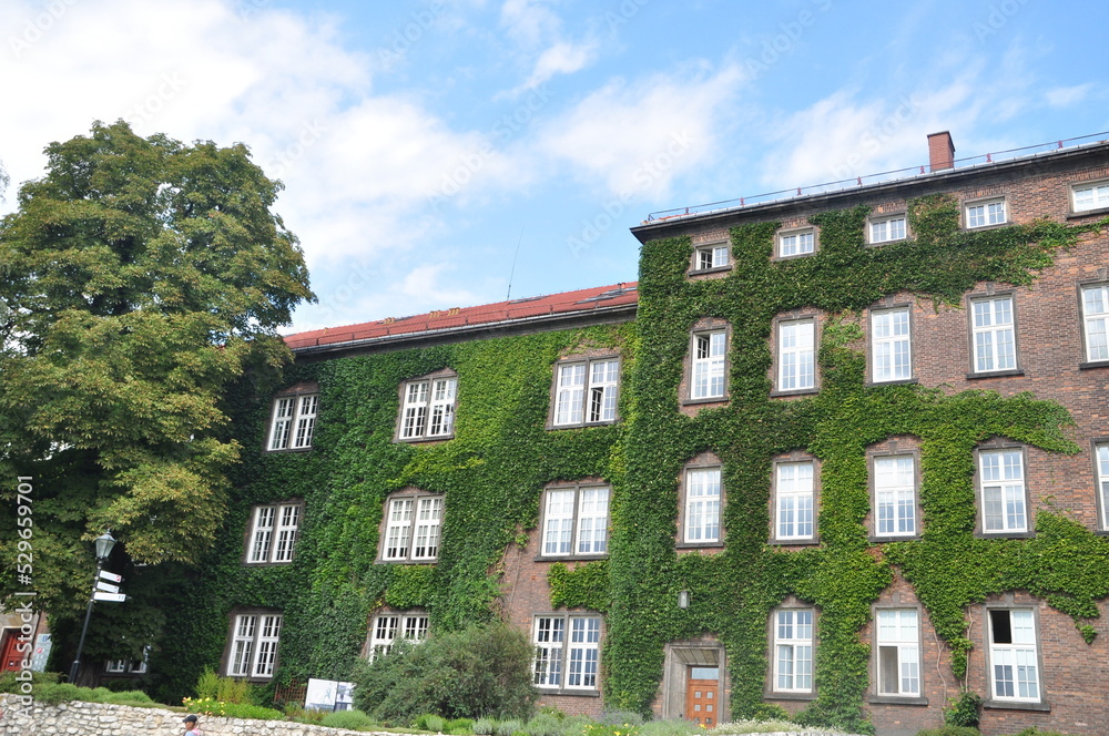 Fototapeta premium Royal Wawel Dragon Castle in Krakow.