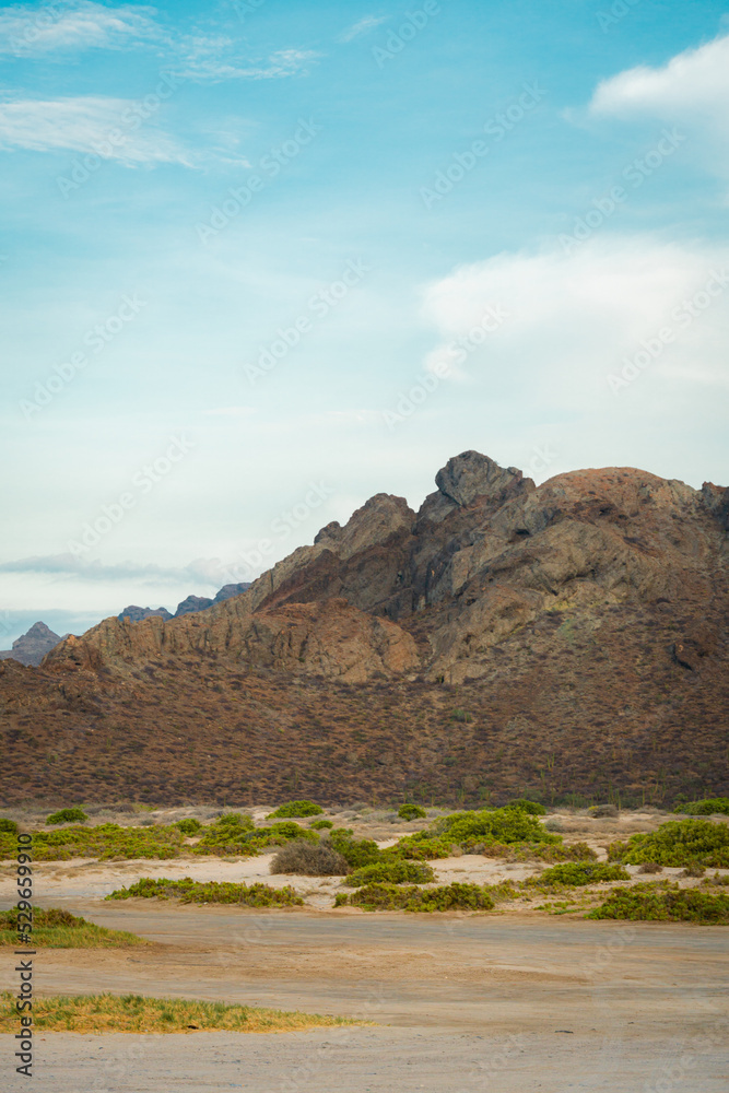 64 / 5.000
Resultados de traducción
Landscape of mountains on the shore of the beach of La Paz - Mexico