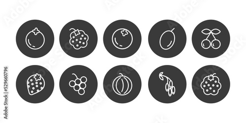 Set of berries icons ouline style vector isolated on white. Berry icon