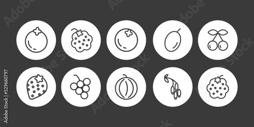 Set of berries icons ouline style vector isolated