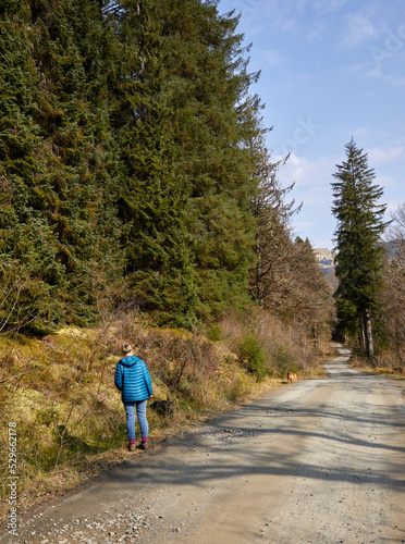 Adult female walking with dogs in Glenbranter forest, Strachur, Argyll and Bute © Fencewood studio