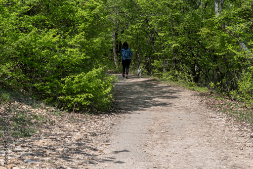 Wallpaper Mural A person walks in the park in fresh air. Torontodigital.ca