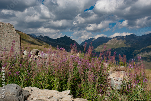 Panorama des Alpes, autour du Cormet de Roseland photo