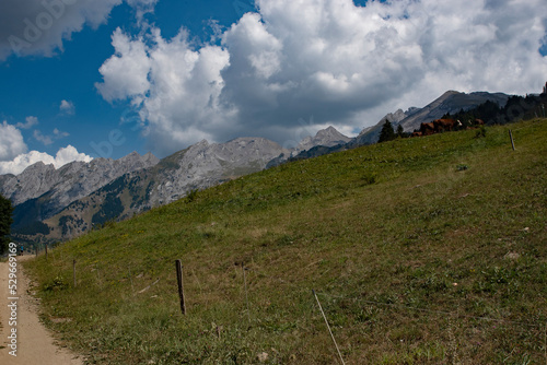 Panorama des Alpes, autour de la Clusaz photo