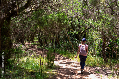 Woman with backpack walking on hiking trail through the dense laurel forest in Teno mountain range, Tenerife, Canary Islands, Spain, Europe. Path between mountain village Masca and Santiago del Teide © Chris
