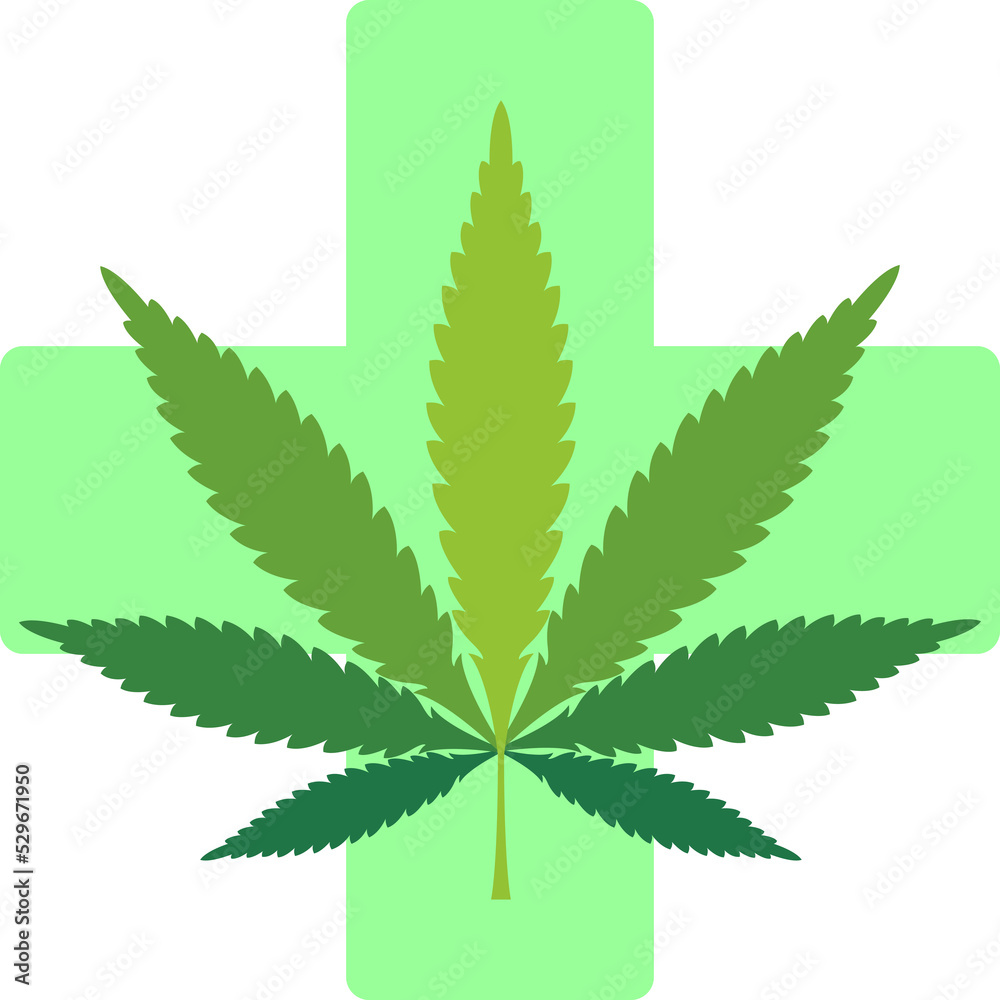 cannabis leaf on white background cannabis leaf on white background