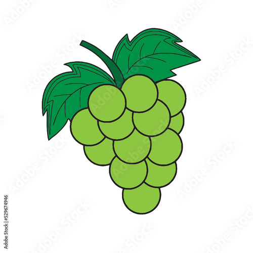 illustration of a green grapes