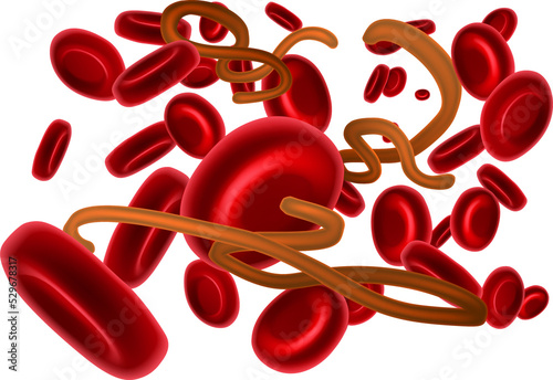 Ebola Virus and Red Blood C...