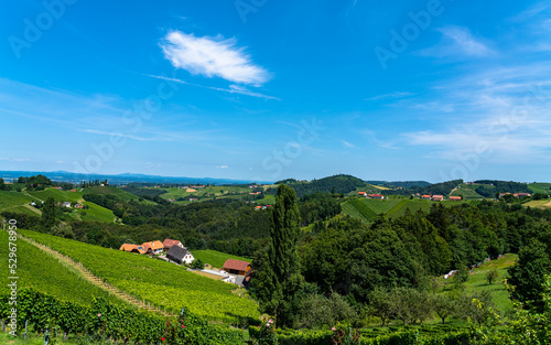Beautiful panorama view of vineyard and farmland in south Styria near Sernau  Gamlitz on a sunny summer day with blue sky cloud  Austria