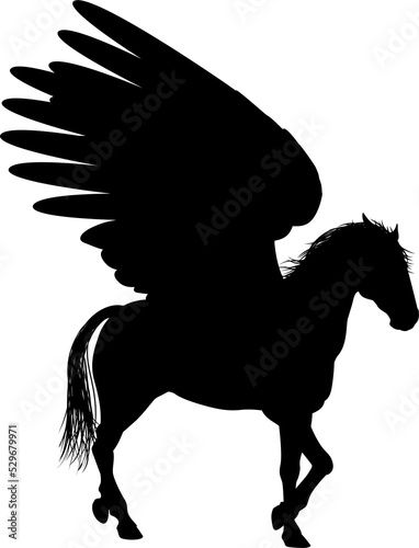 Pegasus Silhouette Horse photo