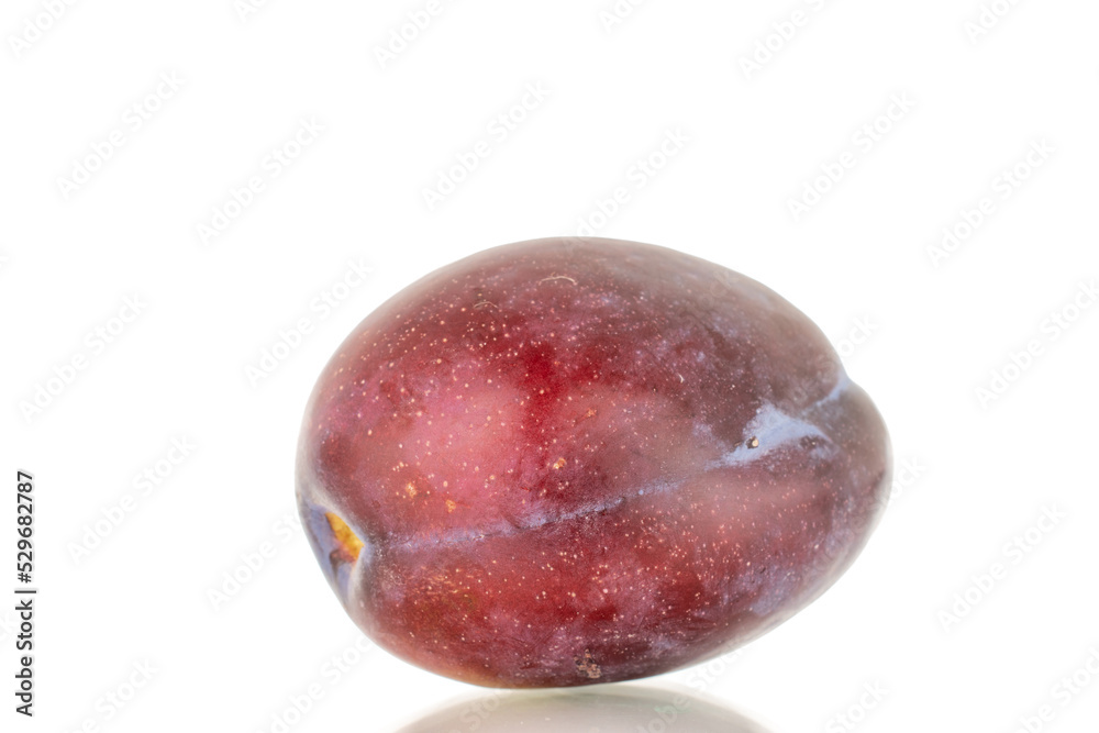 One ripe plum, macro, isolated on a white background. One ripe plum, macro, isolated on a white background.