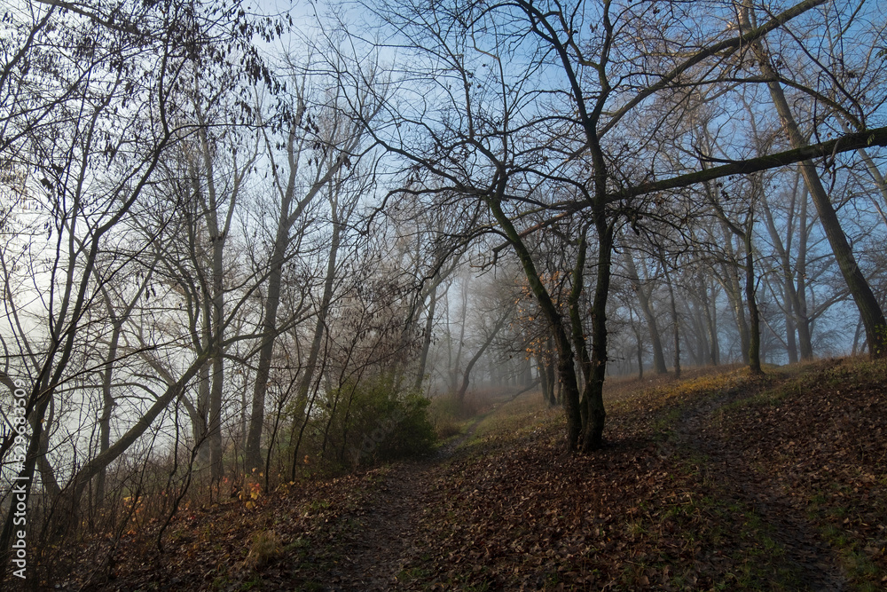 Autumn foggy morning by the river Autumn foggy morning by the river
