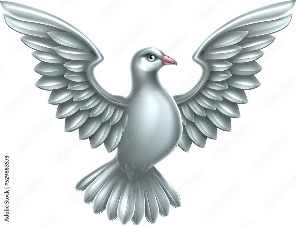 Obraz premium White Dove Concept