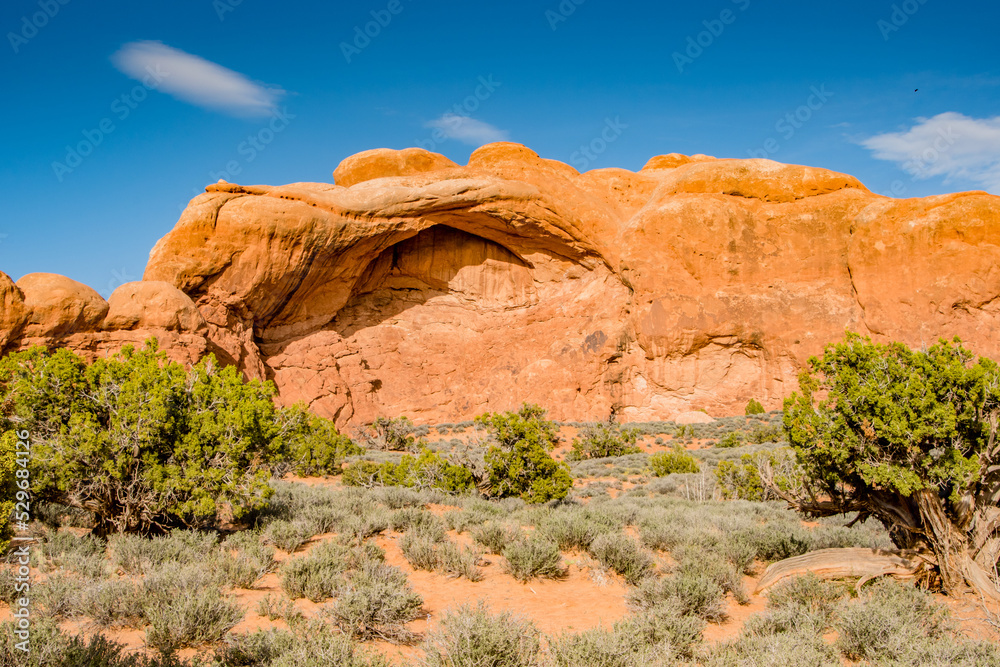 Fototapeta premium Utah Rock Formations