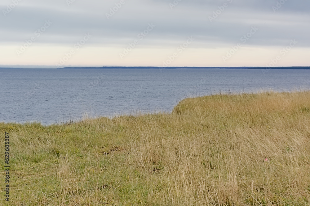 Grass field on a cliff along the baltic sea on Pakri Peninsula, Paldiski, Estonia