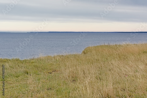 Grass field on a cliff along the baltic sea on Pakri Peninsula  Paldiski  Estonia