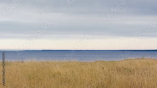 Grass field on a cliff along the baltic sea on Pakri Peninsula  Paldiski  Estonia