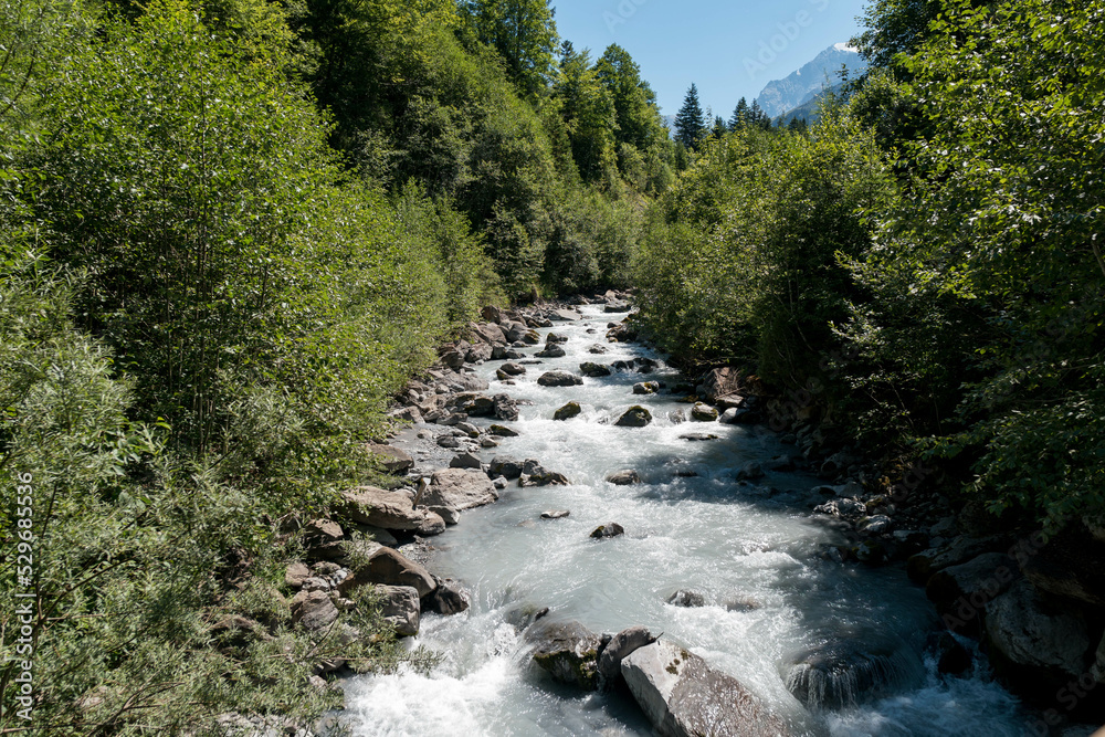 Mountain river Gornerer in the valley. River valley in mountains. Mountain river landscape. River in mountain forest Mountain river Gornerer in the valley. River valley in mountains. Mountain river landscape. River in mountain forest