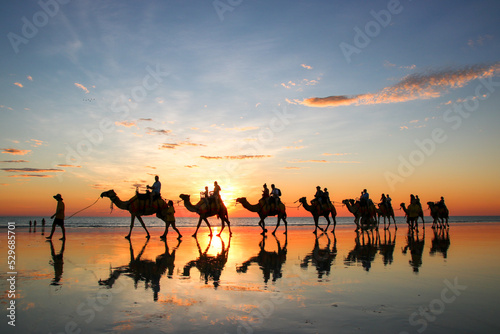 Obraz na plátně camel ride on the beach