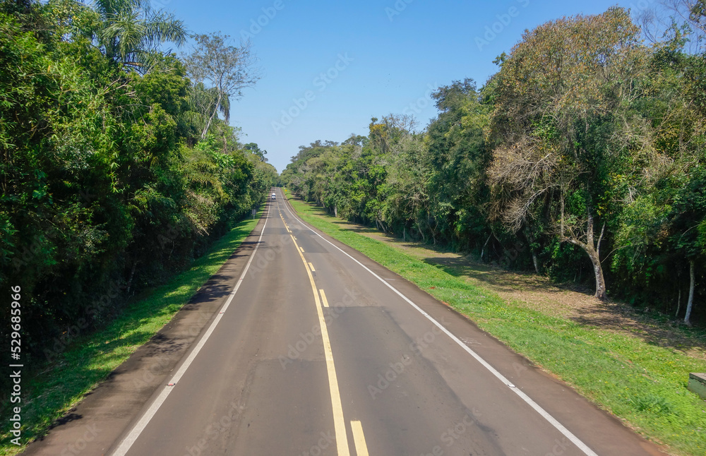 empty paved road through a lush rainforest