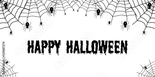 Vector illustration with web and spider