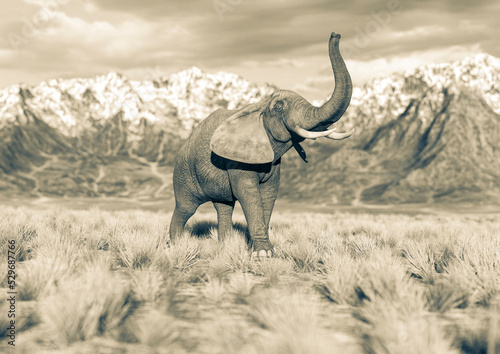 african elephant is doing a happy walk in plains and mountains