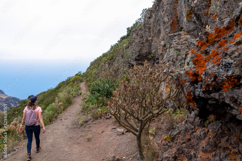 Woman on hiking trail along a steep cliff in the Teno mountain range, Tenerife, Canary Islands, Spain, Europe. Path between Masca village and Santiago del Teide. Red collared lichen on volcanic rock