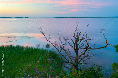 Morning on the Volga river