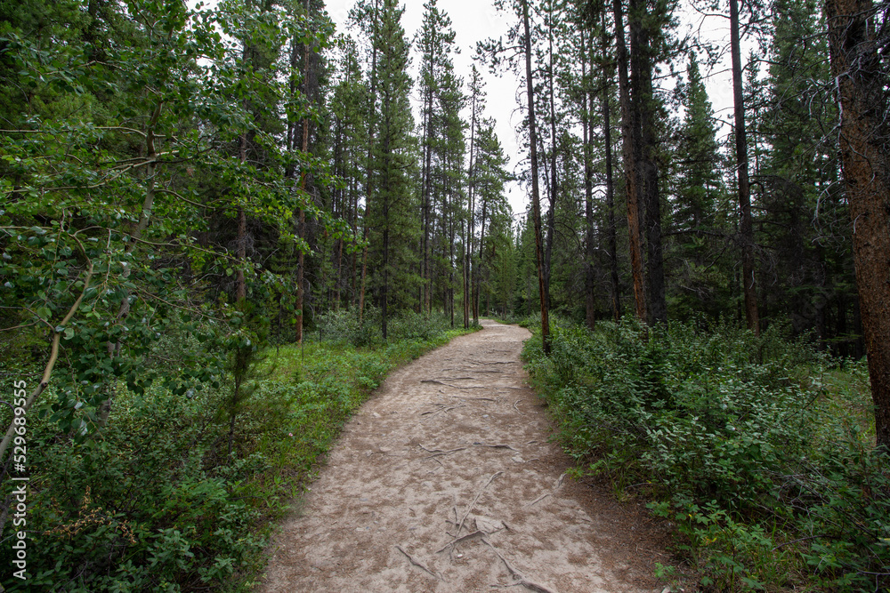 Kootenay Plains Ecological Reserve, AB Kootenay Plains Ecological Reserve, AB