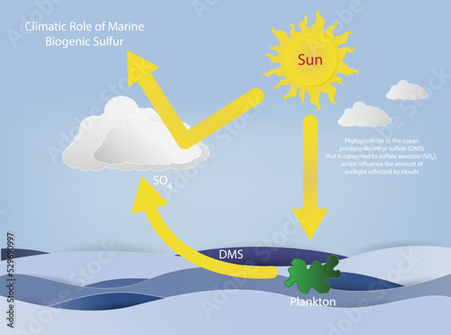 illustration of physics, ecology and chemistry, Climatic Role of Marine, Biogenic Sulfur, Biological Oceanography, Production of atmospheric sulfur by oceanic plankton, radiative balance of the Earth