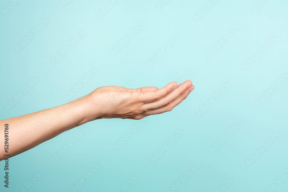 Outstretched open female hand gesture on light blue background. Woman palm faced upwards holding something or showing product