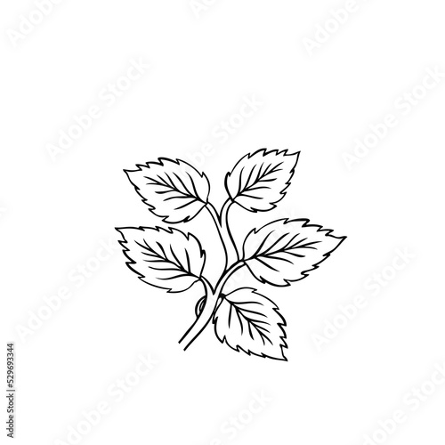 Geometric rose flower. Art deco style inspired. Vector logo design template, ...