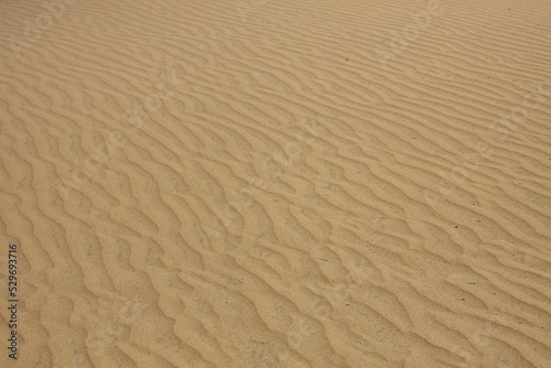 Gran Canaria dunes - Maspalomas sand desert  Spain