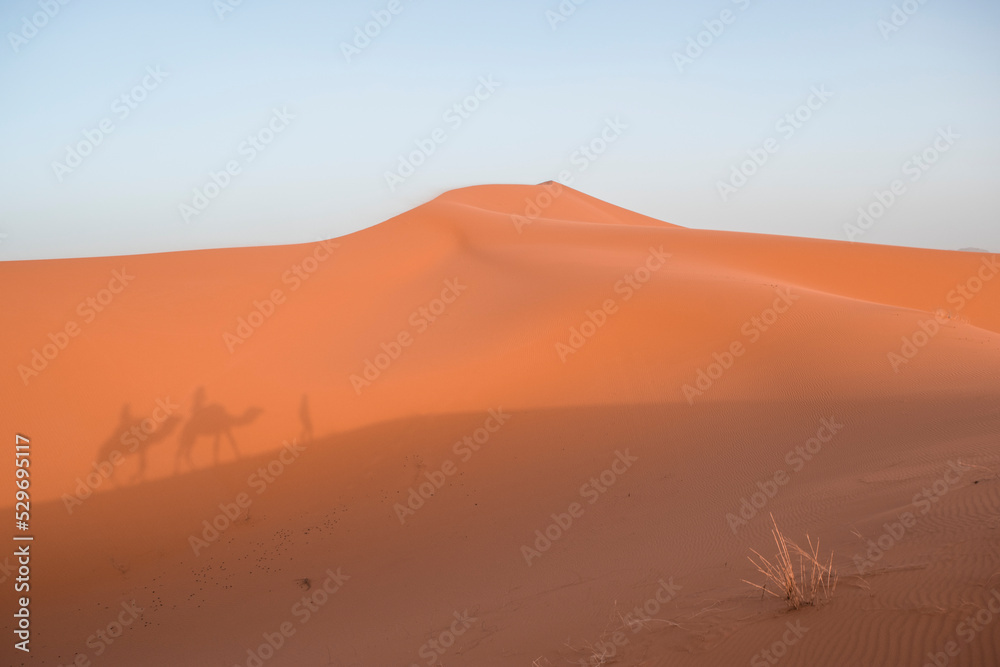 Caravan Silhouettes in the Sand Dunes of Erg Chebbi, Sahara Desert, Morocco.
