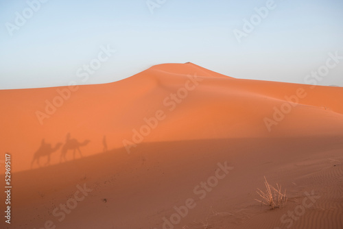 Caravan Silhouettes in the Sand Dunes of Erg Chebbi  Sahara Desert  Morocco.