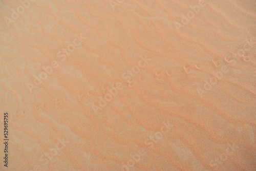 Jerboa Tracks in the Sand Dunes of Erg Chebbi, Sahara Desert, Morocco.