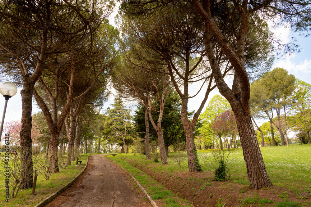 View of the Parco della Pace (Park of the Peace), at the beginning of the spring, in Pesaro, Marche, Italy