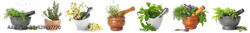 Φωτογραφία Set of aromatic herbs on white background