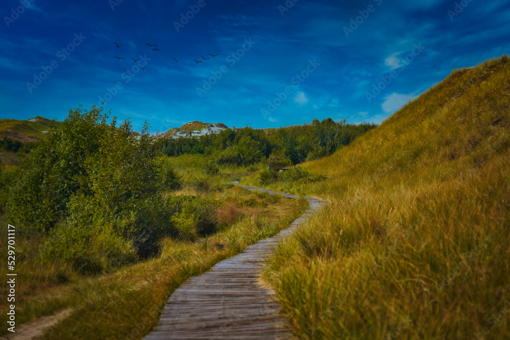 Dünen StockFoto Adobe Stock