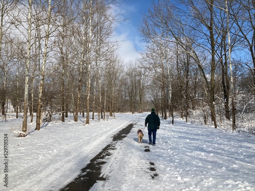 man walking dog in the snow