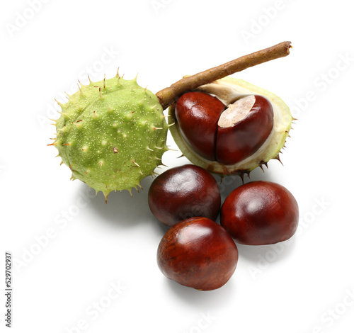 Fresh horse chestnuts with ...
